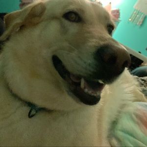 Meet your Posher, Erin